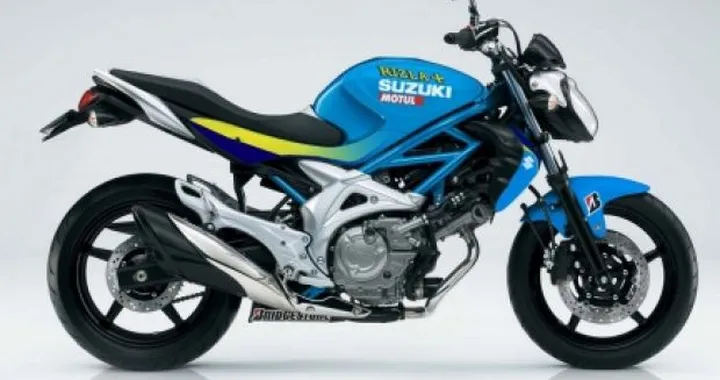 Foto del giorno: Suzuki Gladius 650 Rizla