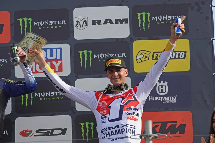 ingrandisci immagine