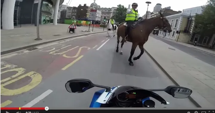 2 Cavalli della Polizia vs 185 CV della Suzuki GSX-R1000 [Video]