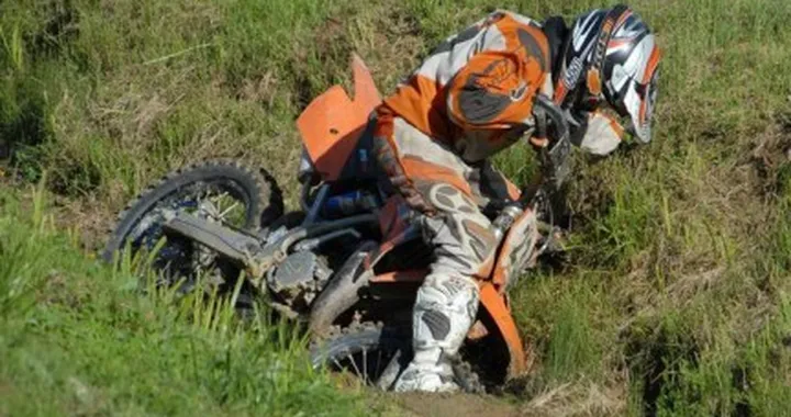 Foto del giorno: A cercar lumache