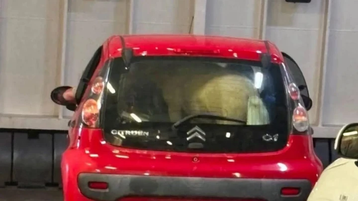 Pony trasportato su una Citroën C1, il video shock dal traghetto per Ischia