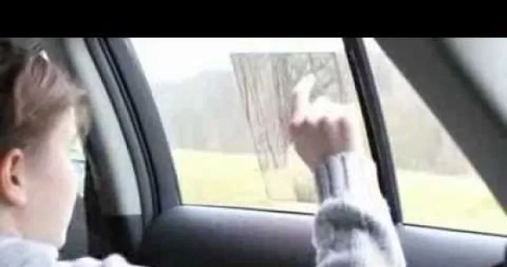 Toyota Window to the World