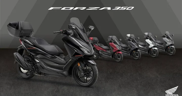 Honda Forza 2026: restyling e nuovi colori per 125 e 350