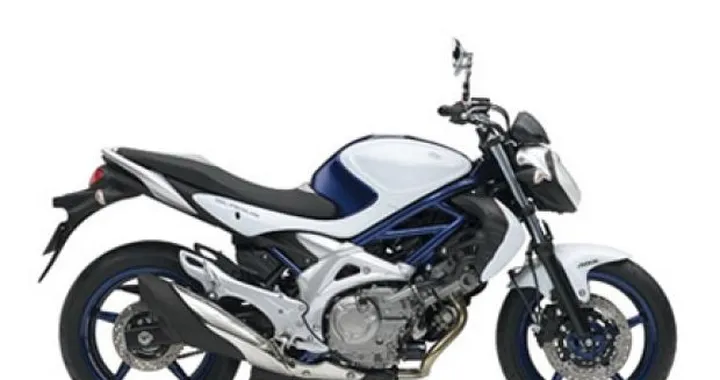 Anteprima Suzuki al Tokyo Motor Show 2009: Gladius 400 ABS