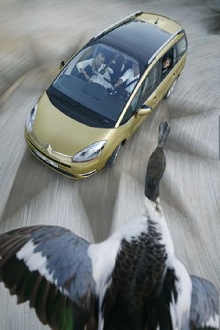 C4 Picasso, altri dati e immagini