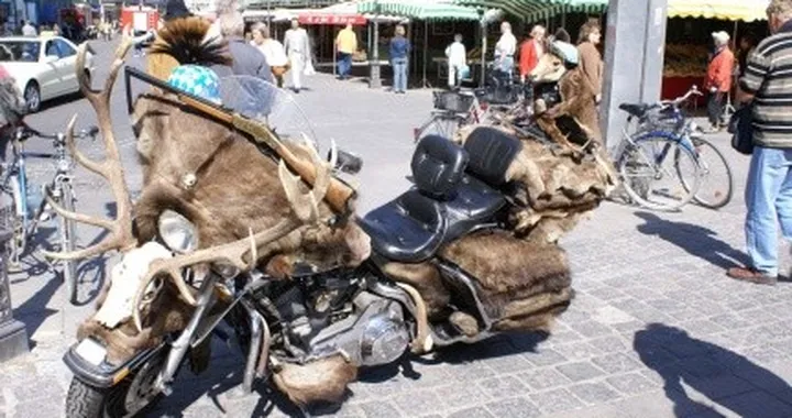 Rat Bikes con le corna
