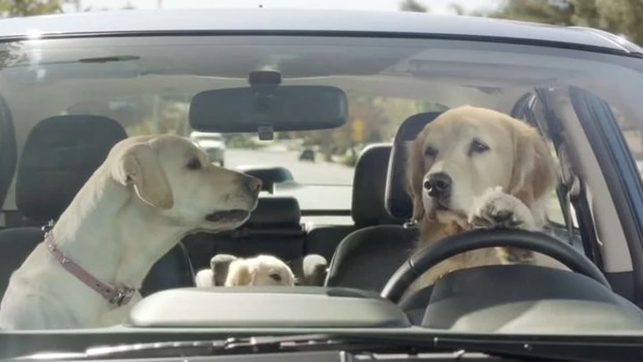 Spot Super Bowl 2014: Subaru Puppy Bowl