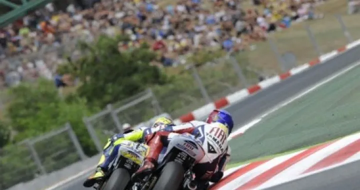 Foto del giorno: incontri ravvicinati