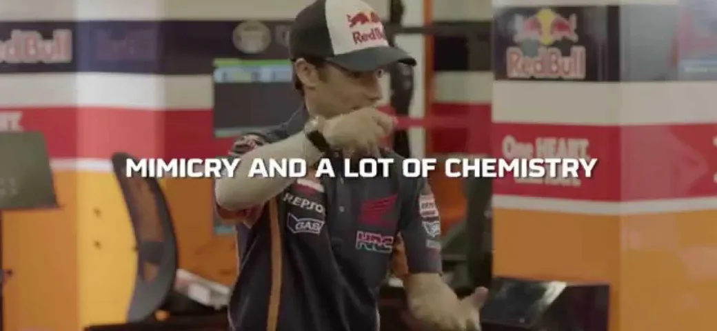 Dani Pedrosa and his team, lots of laughs in the #RepsolChallenge2