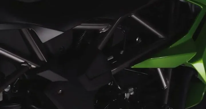 Kawasaki Z250SL 2015