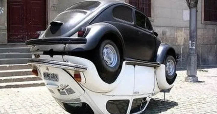 Yin e Yang con due Maggioloni