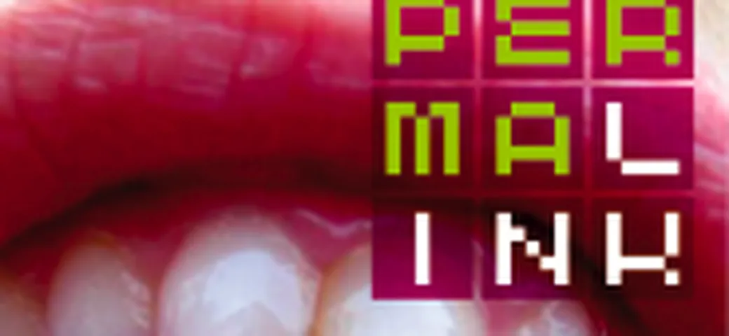 Permalink: il numero 1 del Blogo magazine