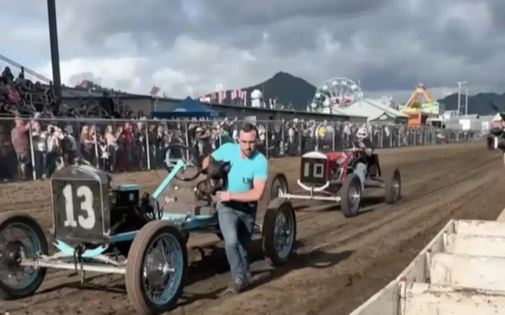 Pig-N-Ford Race: la folle corsa con Model T e maiali in Oregon