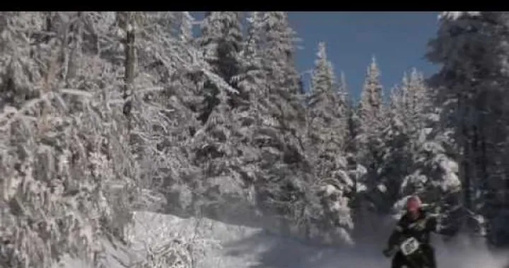 Arriva l'inverno e la neve? Che problema c'è: guardate il video!