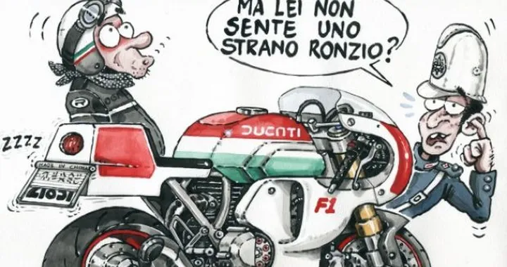 Occultamento di targa