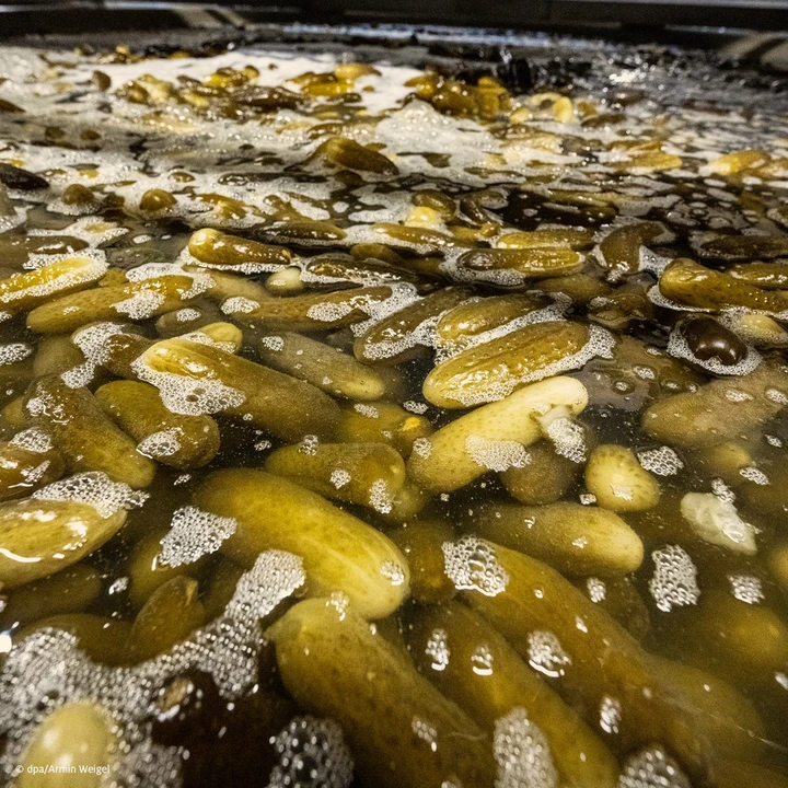 Come si elimina il ghiaccio su strada? Con la salamoia dei cetriolini