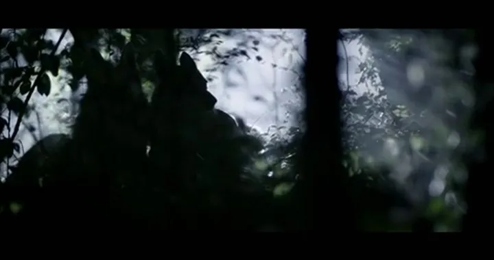 Yamaha MT-09 Street Rally 2014