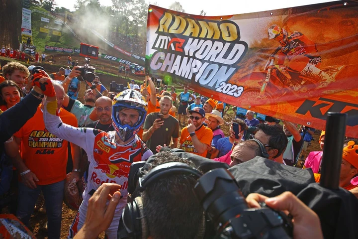 ingrandisci immagine