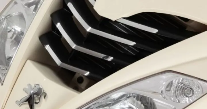 Peugeot Citystar 2011