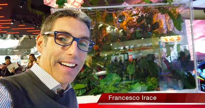 Gruppo Piaggio a EICMA 2019: tutte le novità