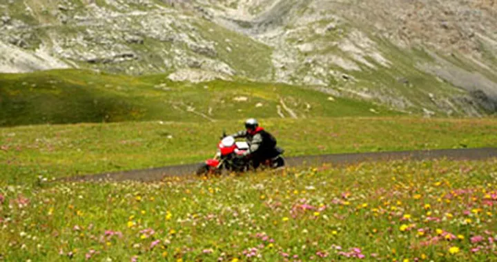 Centopassi Ducati 2006