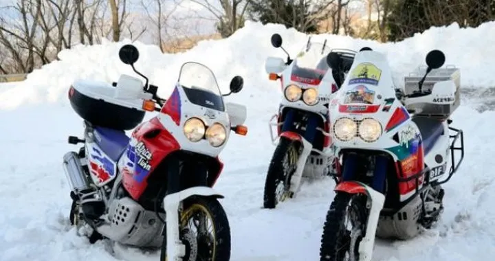 Foto del giorno: Le Regine...d'inverno