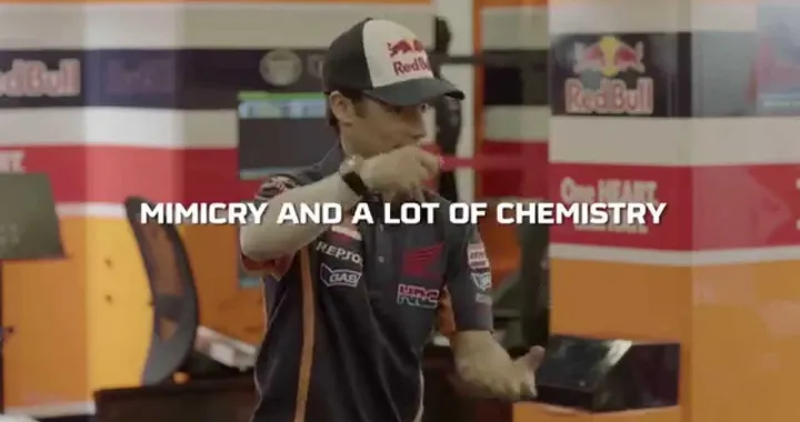 Dani Pedrosa and his team, lots of laughs in the #RepsolChallenge2