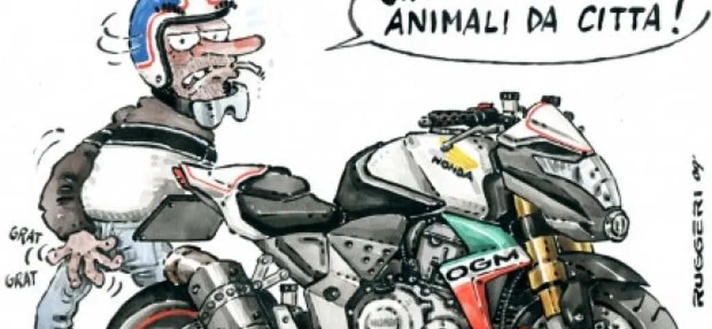 Animale da città