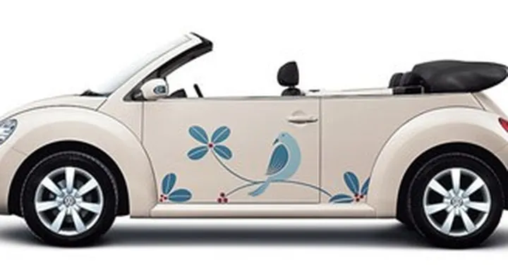 New Beetle Art