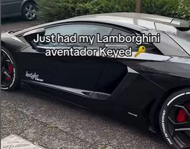 Lamborghini Aventador martoriata con un chiodo da un invidioso | Video