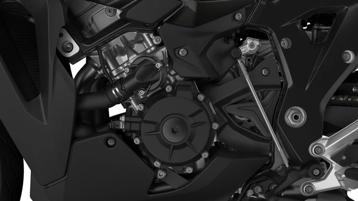 ingrandisci immagine