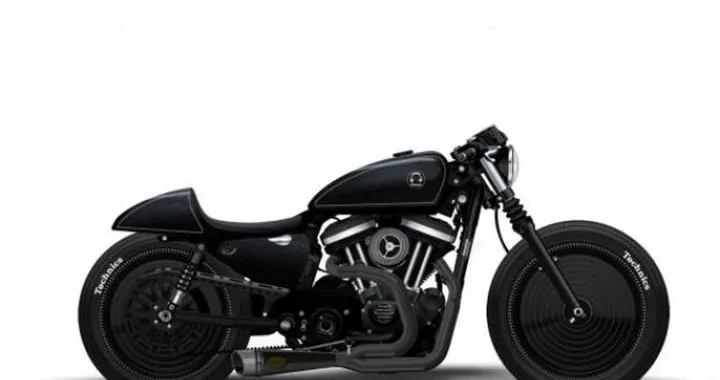 Sportster Technics by Roland Sands