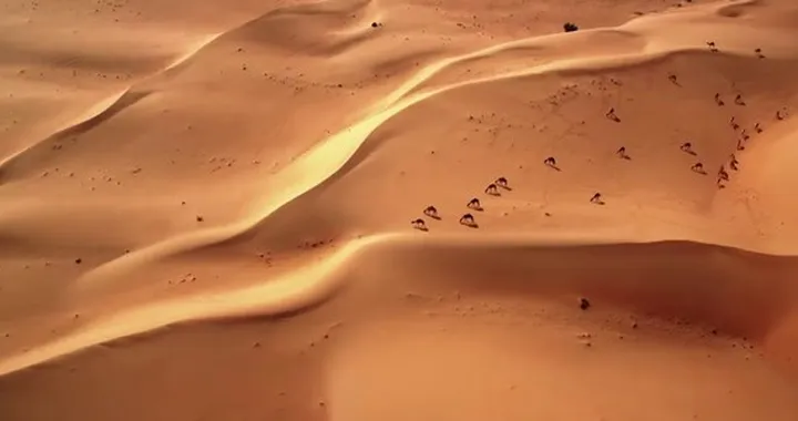 Polizia Abu Dhabi: l'inseguimento tra Ferrari 458 e Nissan GT-R