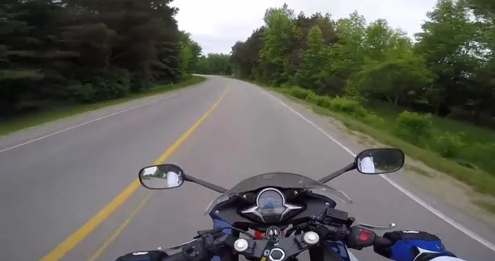 Investe cervo con la moto