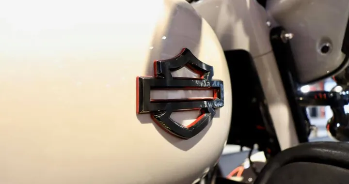 Le H-D Bronx e Pan America "arriveranno nel 2021"