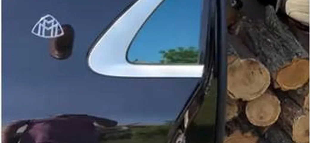 Mercedes-Maybach Classe S usata per il trasporto legna | Video