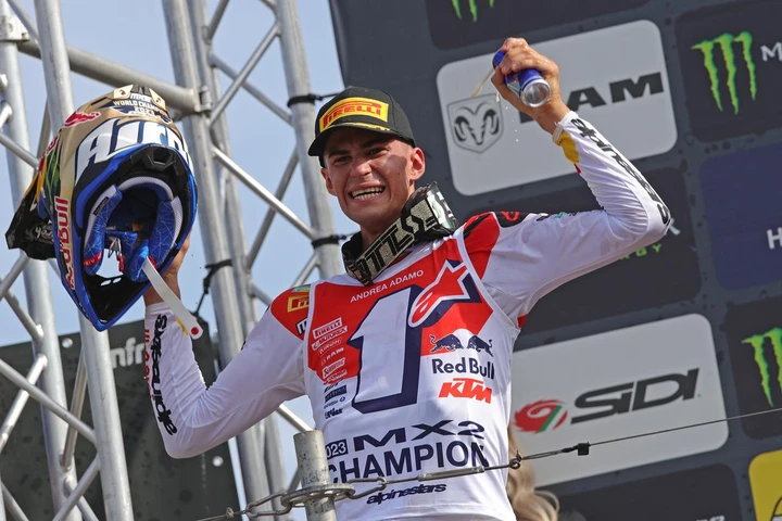 ingrandisci immagine