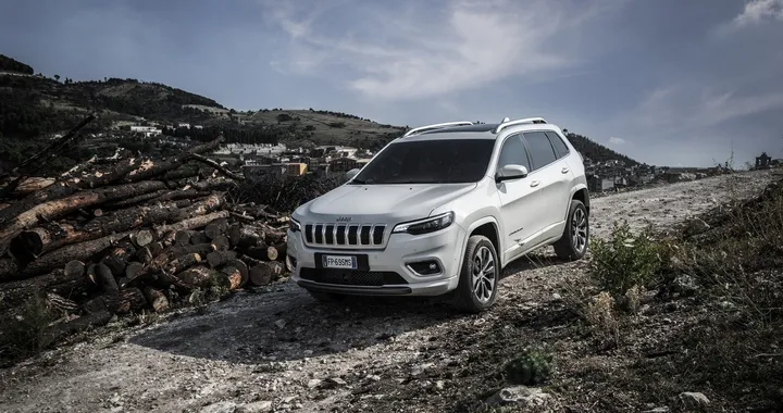 Vendite auto Europa: discesa libera