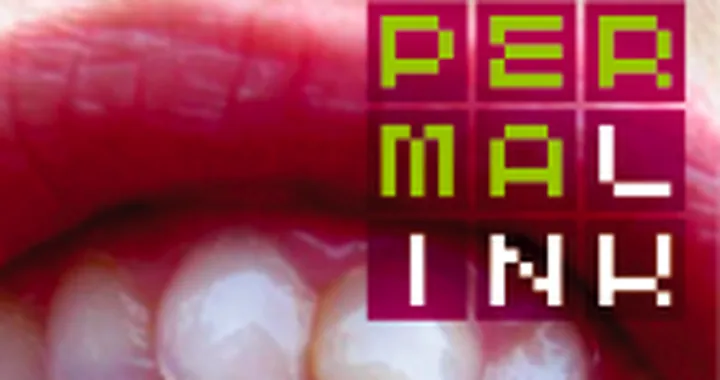 Permalink: il numero 1 del Blogo magazine