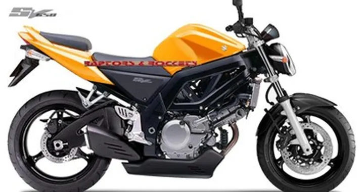Anteprima Suzuki SV650 2007?