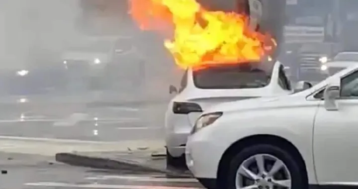 Maniglie Tesla sotto accusa dopo incidente mortale a Tacoma