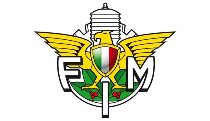 Logo F.M.I.