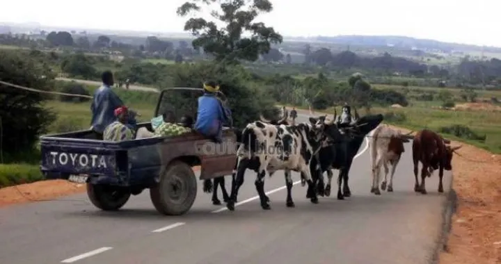 Rubrica auto Epic Win: pick-up Toyota a trazione... animale