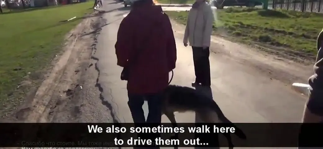 Gli automobilisti in Russia