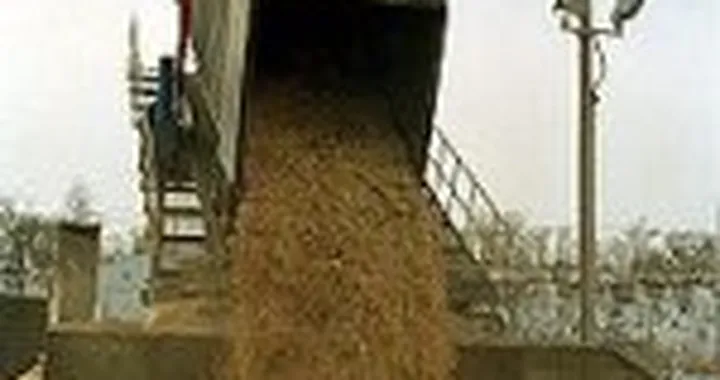 La benzina dal letame