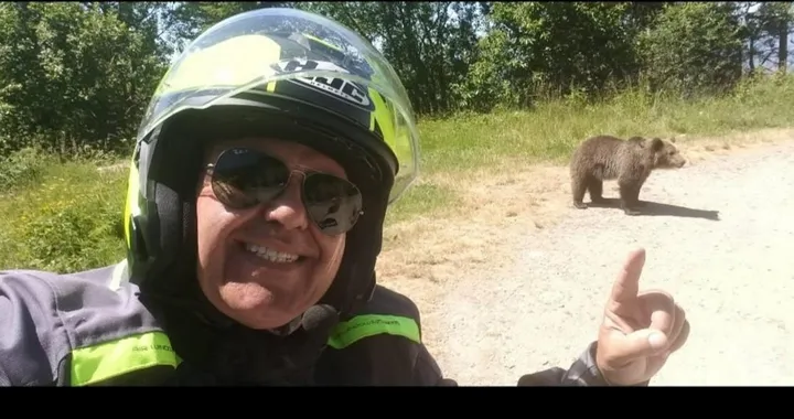 Motociclista italiano ucciso da orso in Romania: tragedia sulla Transfagarasan