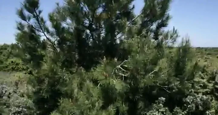 Yamaha Welcomes 2013 Dakar Rally Champion Cyril Despres