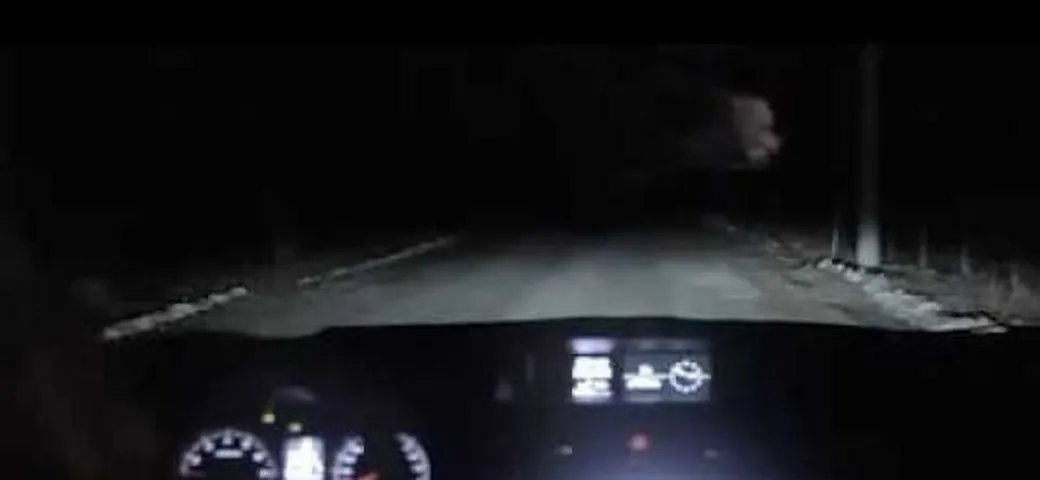 Festa del cane 2014: Subaru e lo spot con la dash cam