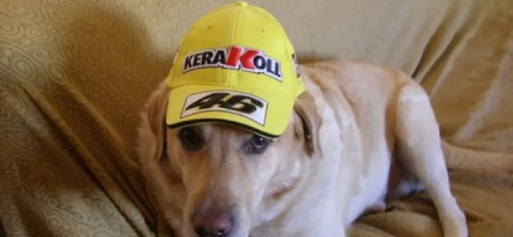 Foto del giorno: anche Shaggy tifa Valentino Rossi