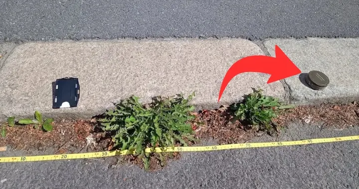 Multato per 80 centimetri, fa ricorso e vince: poi una scatoletta ribalta tutto